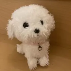 Sunlemon サンレモン 犬 ぬいぐるみ　ビジョンフリーゼのサムネイル