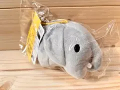 Item thumbnail for item 81f3f4a8-4119-4e80-9d5f-2125830c0a25