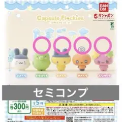 たまごっち カプセルフロッキーズ　まめっち ふらわっち くちぱっち めめっち