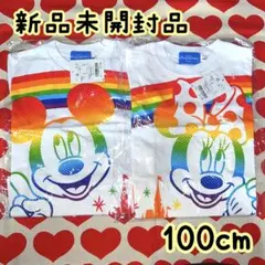 東京ディズニーリゾート 子供 Tシャツ ミッキー ミニー 100 セット 新品
