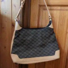 Item thumbnail for item bd4aeaf0-df28-4847-b79b-50d6b746e36c