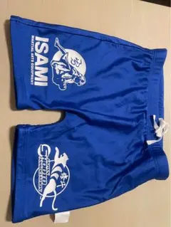 Item thumbnail for item 1451054c-a0a0-46ab-bb6d-0763a6b97edd