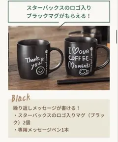 スターバックス　ロゴ入りマグカップ２個➕専用メッセージペン