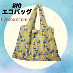 Item thumbnail for item 0c148388-9772-4cfe-946a-8339798e589f