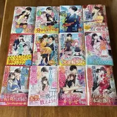 ベリーズ文庫・マーマレード文庫　2025年2月発売