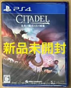 PS4 シタデル:永炎の魔法と古の城塞 サバイバルガイドブック封入