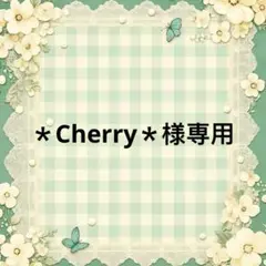 ＊Cherry＊ 様　專用