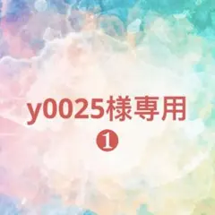 y0025様確認専用【取り置き中　12月15日迄】❶