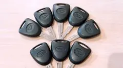 Item thumbnail for item 71bd1edd-6eef-4a9e-aaf2-5f0c7d49acd9