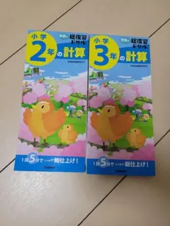 学研の総復習ドリル 小学2年の計算、3年の計算 2冊セット