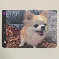 ふーこ様 リクエスト 2点 まとめ商品