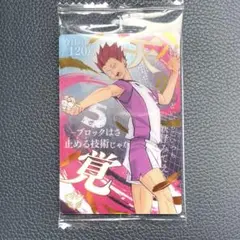 ハイキュー ウエハース6 スペシャルレアカード 天童覚