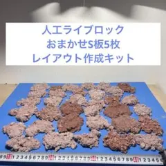 2025年最新】ライブロック 人工の人気アイテム - メルカリ