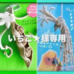 300円の値引きできません！いちご様リクエスト 2点 まとめ商品