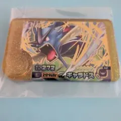 おまけ付き☆ギャラドス　ポケモンフレンダ