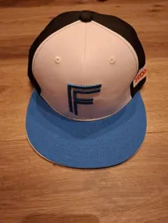 Item thumbnail for item 14d615ce-1c61-4cd0-9893-e173b6d6f0d8