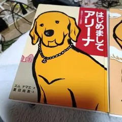 はじめましてアリーナ・アリーナ空をとぶ 2冊セット