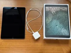 iPad Pro 10.5インチ 256GB Wi-Fiモデル 箱付きのサムネイル