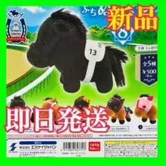 サラブレッドコレクション ぷちぬいぐるみ 全5種コンプリートセット
