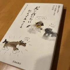 Item thumbnail for item 03153b24-2c7c-44f2-bcf0-f1cf58416230