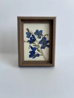 押し花フレームno.4