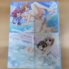 魔法少女リリカルなのはA's PORTABLE ポスター 2枚セット
