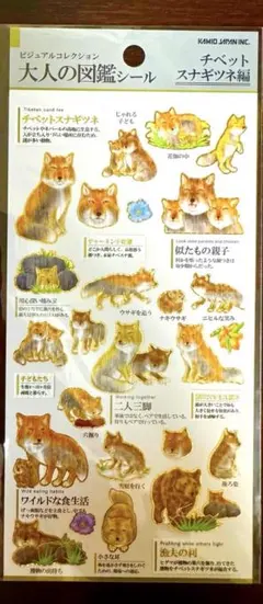サザエさん様 リクエスト 2点 まとめ商品 - メルカリ