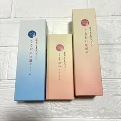 梅肉酵素 2027年6月5日まで - メルカリ