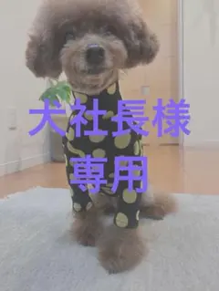 犬社長様専用ページ