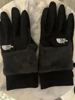 THENORTHFACE デナリイーチップグローブ