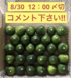 無農薬 青柚子　残り3名様限り　8/30収穫発送予定　　コメント下さい！