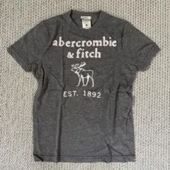 abercrombie kids Tシャツ グレー M