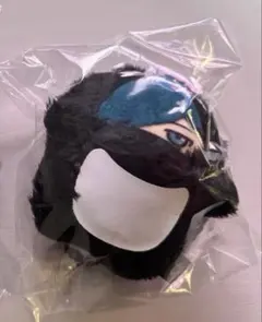 Crazy Raccoon CR VanilLa バニラ 誕生日 まとめ売り Crazy Raccoon CR VanilLa バニラ 誕生日 まとめ売り Vanilla 缶バッジ