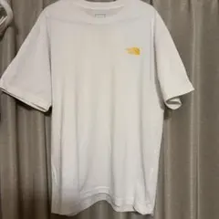 THE NORTH FACE ペイズリーロゴ Tシャツ XLのサムネイル