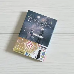 君の余命が消えぬまに
