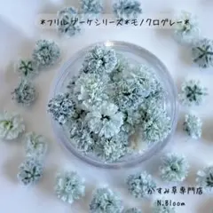 かすみ草　＊モノクログレー＊60粒＋α フリルブーケシリーズ　ドライフラワー
