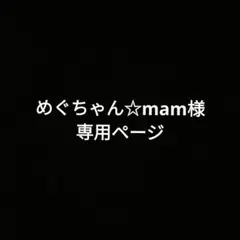 専用ページ