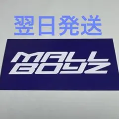 2026年最新】mallboyzの人気アイテム - メルカリ
