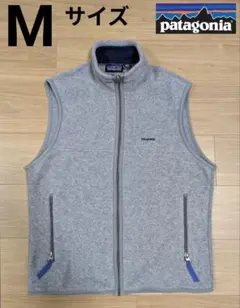 patagonia　パタゴニア　フリース　ベスト　USA製　M　シンチラ　グレー