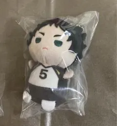 ハイキュー　もちもちマスコット　たっち　赤葦京治