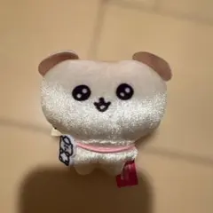 チェゴシム キラキラぬいぐるみマスコット