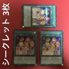 takuizumi nakate様 リクエスト 2点 まとめ商品