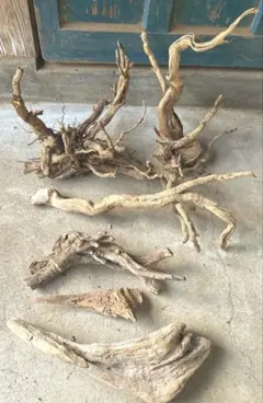 Item thumbnail for item 97ff2589-f0f7-4c73-9bb3-e74047349c65