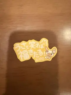 専用