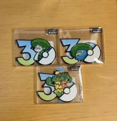 ポケモン30周年 マグネット ゼニガメ カメール カメックス 3種セット
