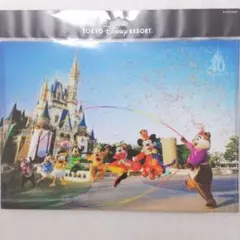 ディズニー　クリアホルダー　40周年　実写　イマジニングザマジック