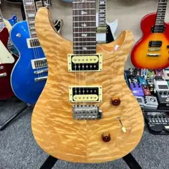 2025年最新】prs ハードケースの人気アイテム - メルカリ
