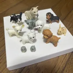 ミニチュア 動物 フィギュア 11体セット