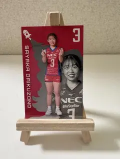 女子バレー　大工園 彩夏　トレーディングカード　necレッドロケッツ