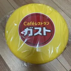 フライングディスク スポーツトイ
